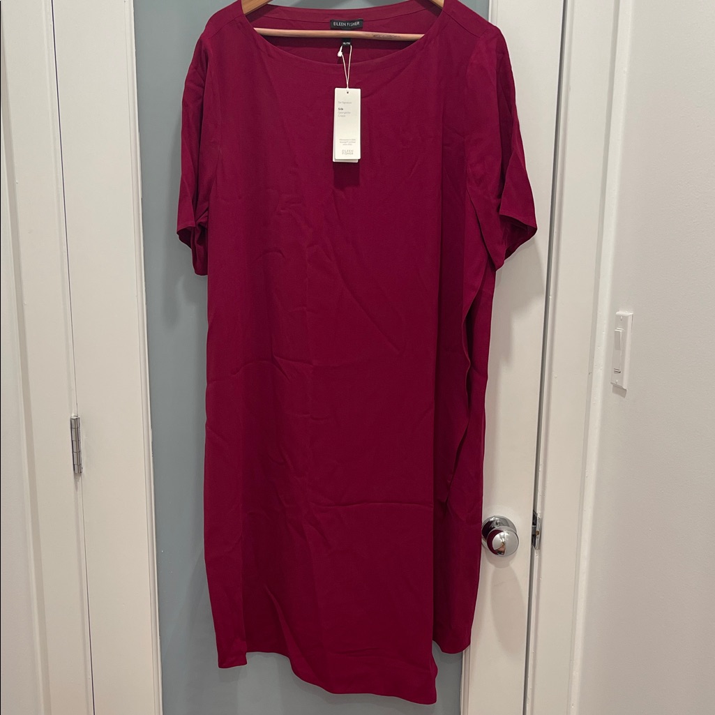 Eileen Fisher Nwt Silk Georgette Crepe Dress